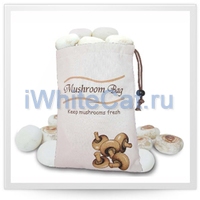 <p>    Mushroom bag</p>